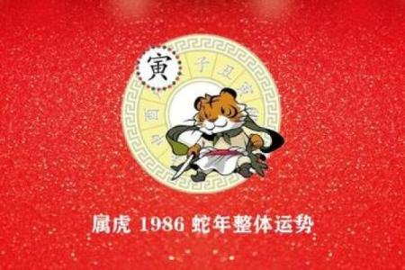 1986年属虎女会有钱吗,1986年属虎女性的财富运势如何